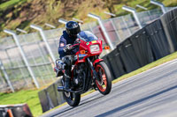 Oulton-Park-20th-March-2020;PJ-Motorsport-Photography-2020;anglesey;brands-hatch;cadwell-park;croft;donington-park;enduro-digital-images;event-digital-images;eventdigitalimages;mallory;no-limits;oulton-park;peter-wileman-photography;racing-digital-images;silverstone;snetterton;trackday-digital-images;trackday-photos;vmcc-banbury-run;welsh-2-day-enduro